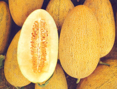 哈密瓜烘干工艺