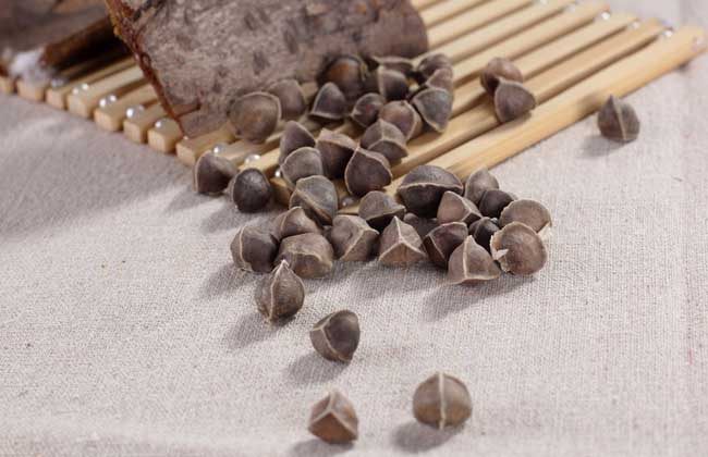 辣木籽烘干工艺