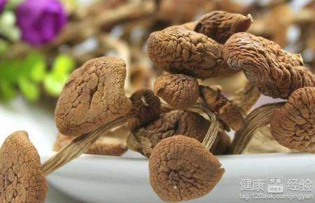 油茶菇烘干工艺